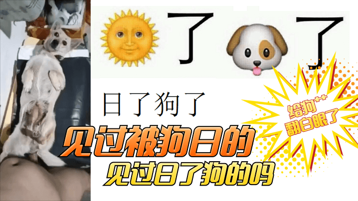 【卧槽，给狗艹翻白眼了】见过被狗日的！见过日了狗的吗？